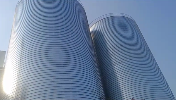 南陵2座混凝土高架卷板仓